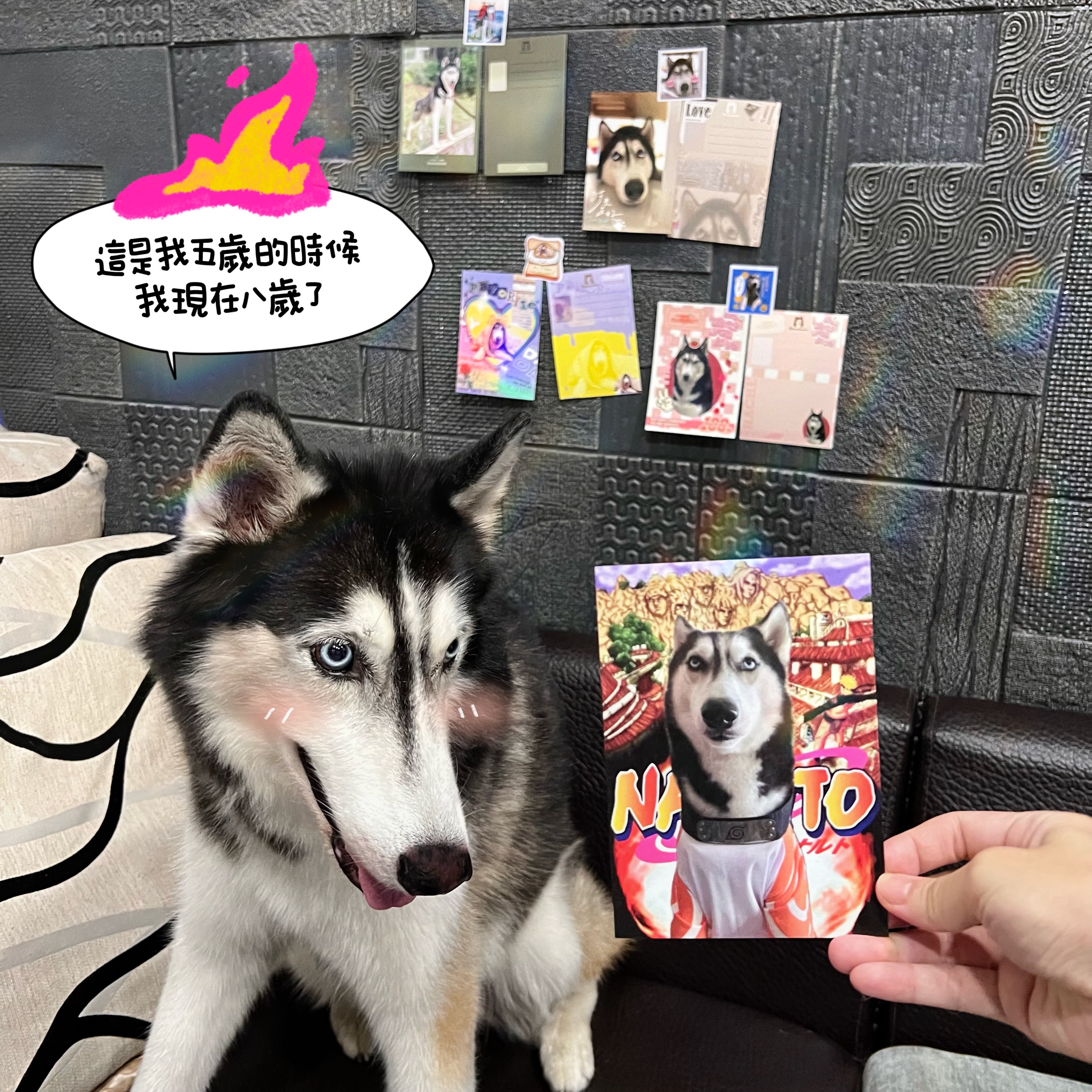 ✨哈契紀念週邊🫶🏻