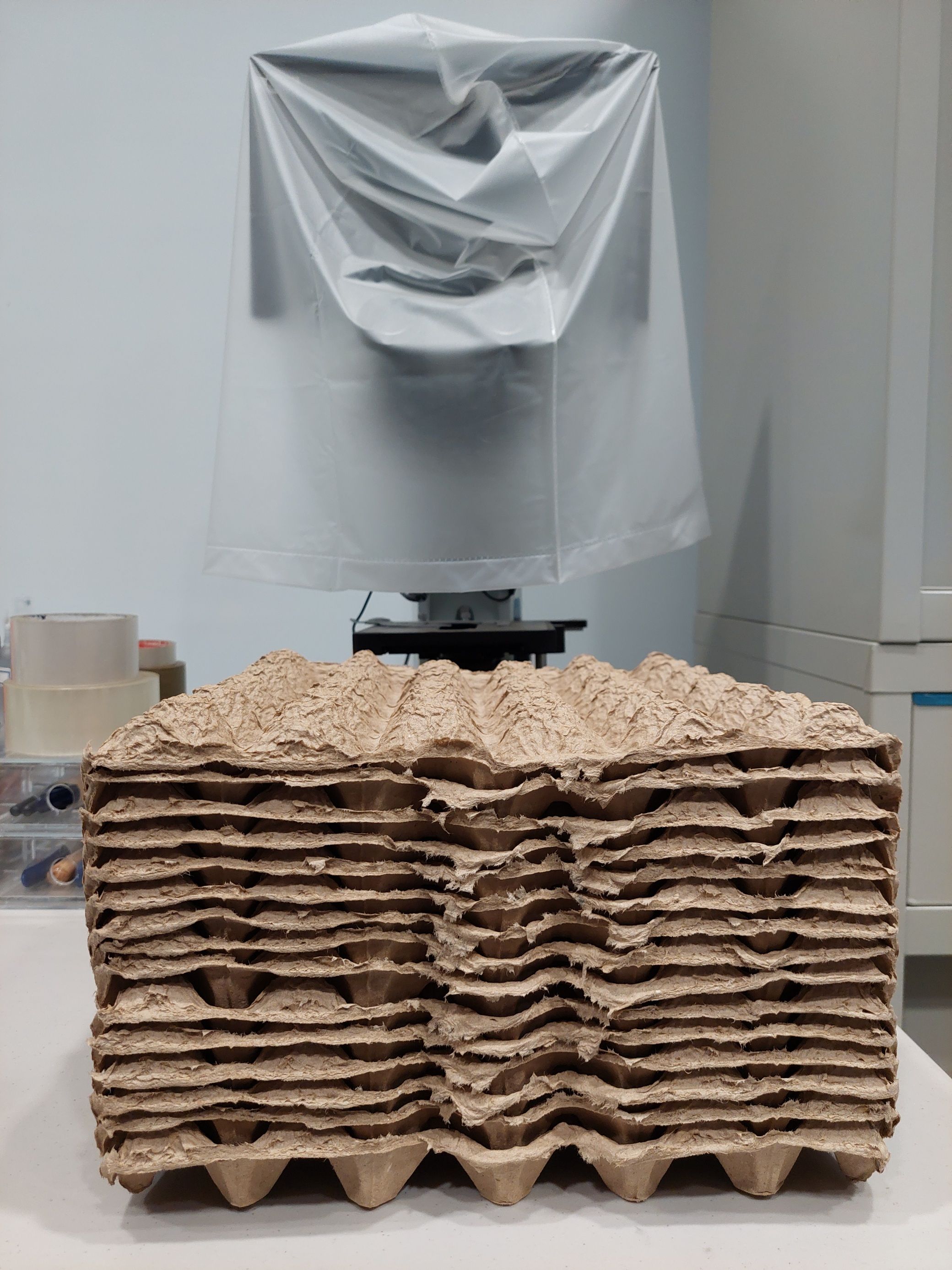 📦 全新雞蛋盒 非常堅固