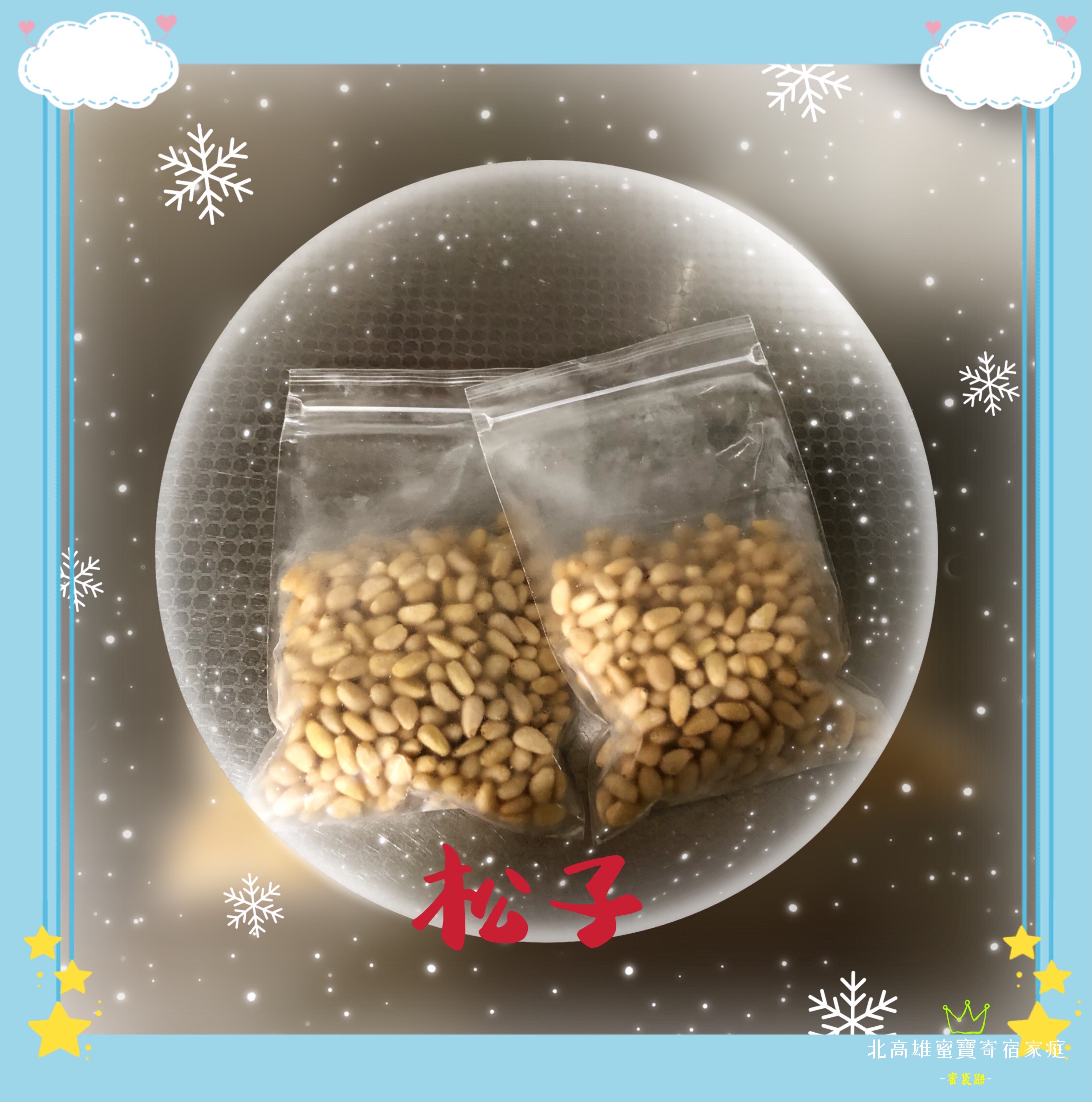 寵物食用零食松子🌰