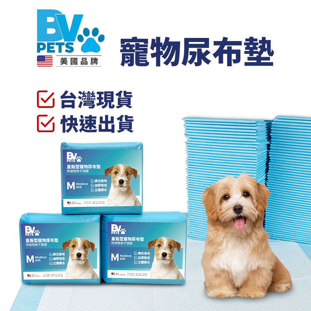 BV Pets 量販輕薄款寵物尿布墊