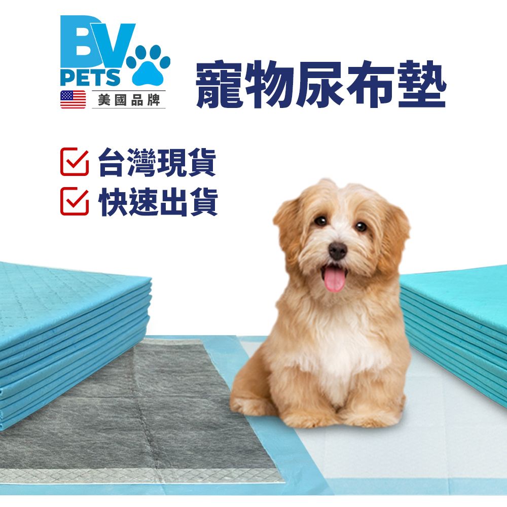 BV Pets 寵物尿布墊 【試用包】