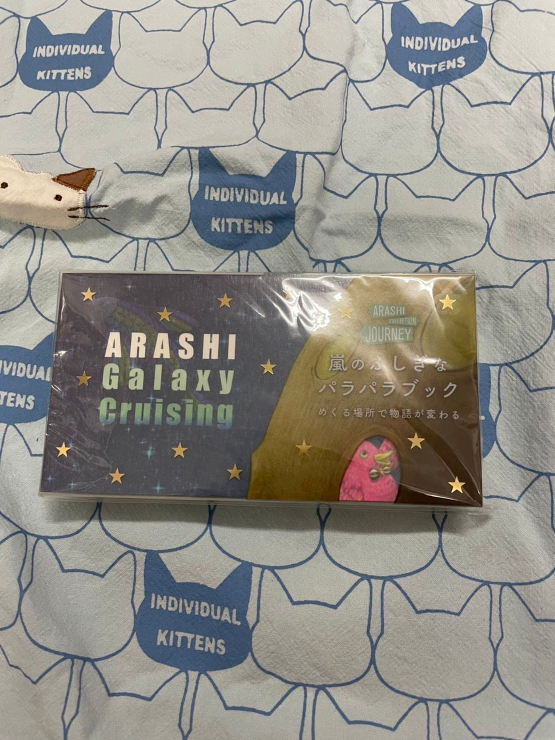 嵐／ARASHI/ 展覽會周邊 galaxy cruising 手翻書