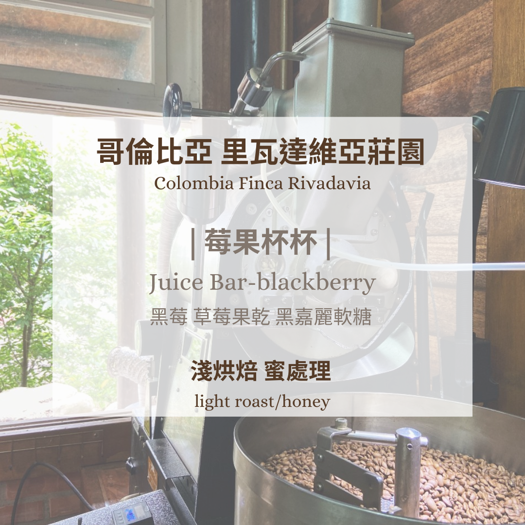 哥倫比亞-莓果杯杯 ［淺焙 特殊處理 ］