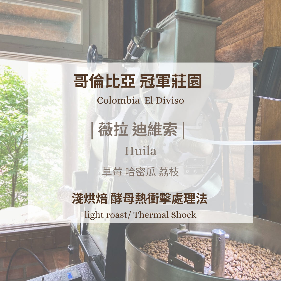 哥倫比亞-冠軍莊園迪維索 ［淺焙 酵母熱衝擊 ］