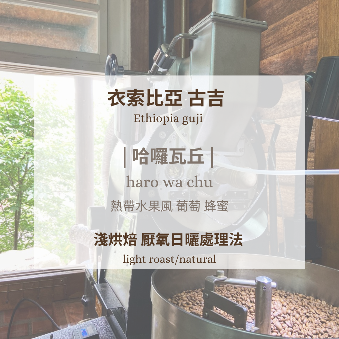 衣索比亞-哈囉瓦丘 ［淺焙 厭氧日曬 ］