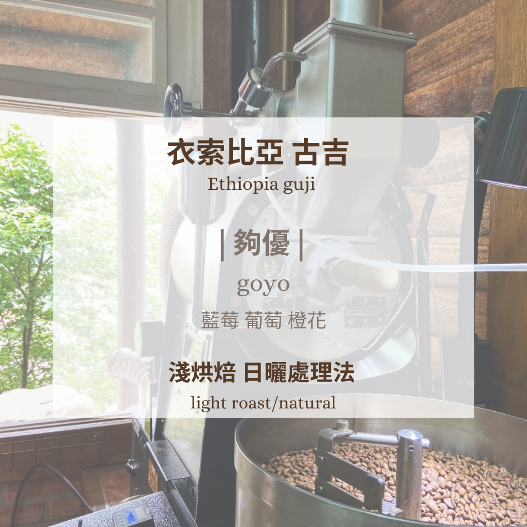 衣索比亞-古吉 夠優 [淺焙 日曬］