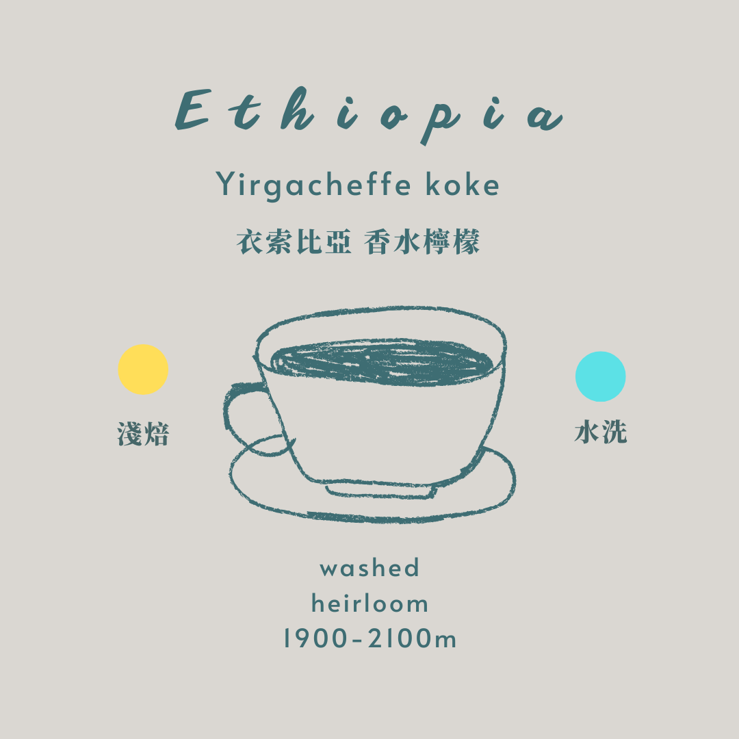 衣索比亞-耶加雪菲 香水檸檬 [淺焙 水洗］