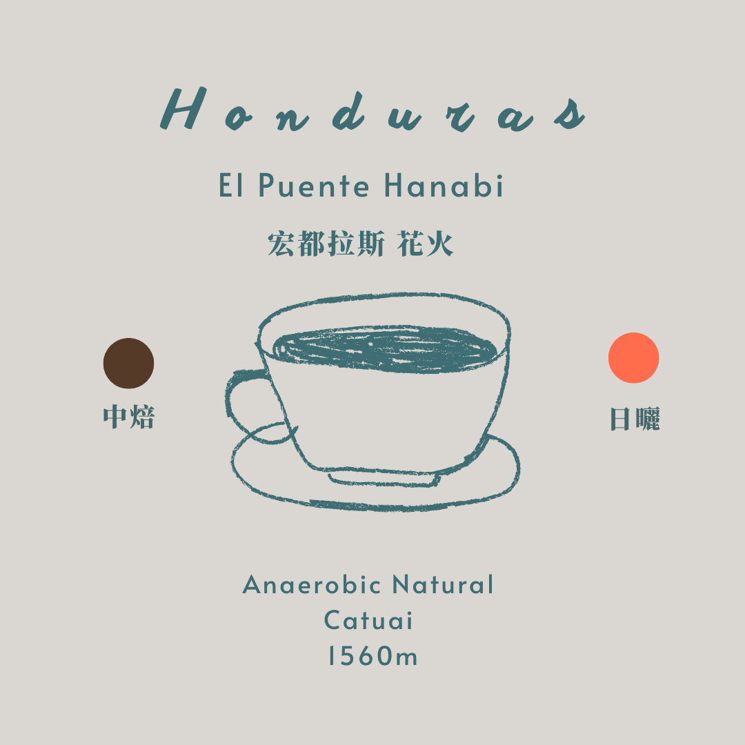 宏都拉斯-花火 [中焙 厭氧日曬]