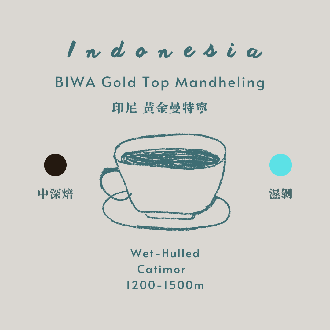 印尼-黃金頂上曼特寧 [中深焙 水洗］