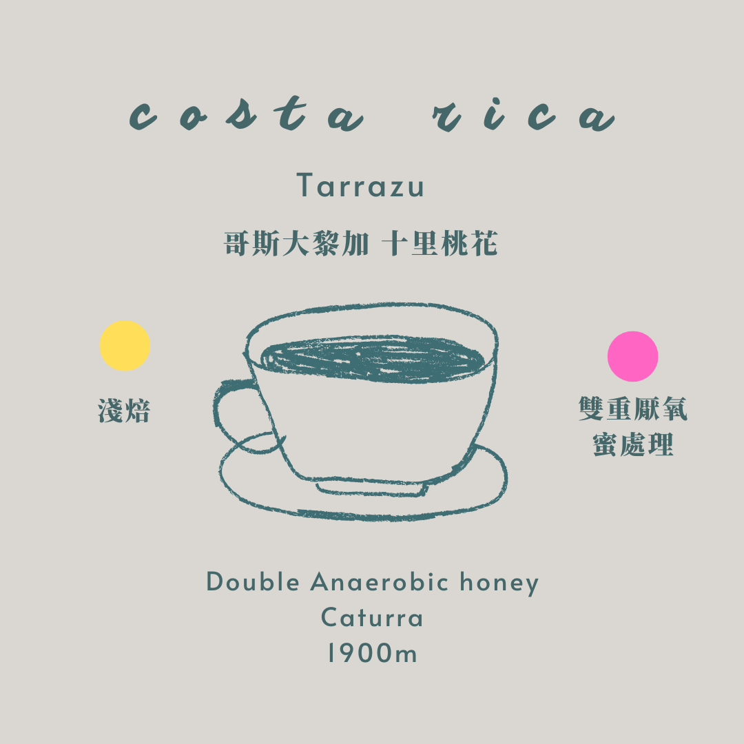 （等下一個產季）哥斯大黎加-十里桃花 [淺焙 雙重厭氧蜜處理］