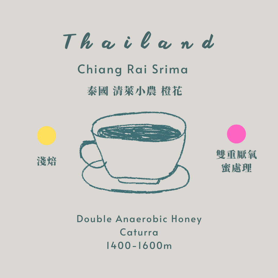 泰國-清萊橙花 [淺焙 蜜處理］