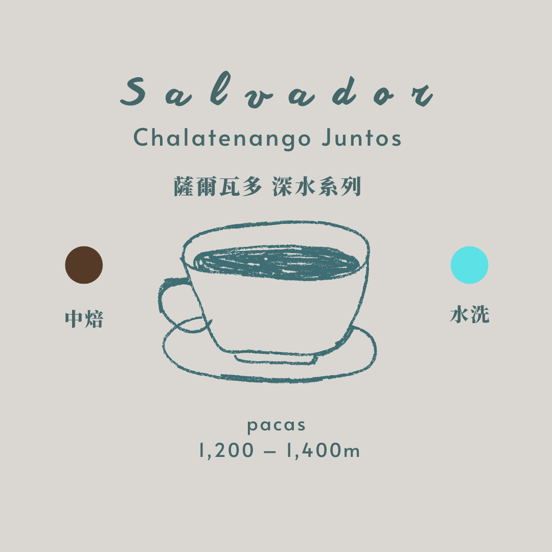 薩爾瓦多-深水系列 [中焙 水洗］