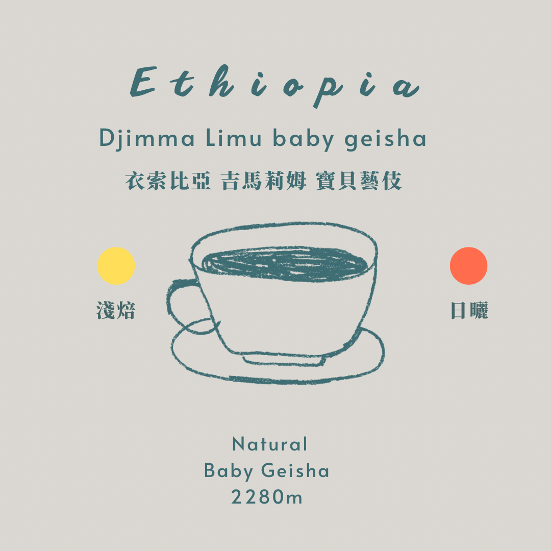 衣索比亞-寶貝藝伎［淺焙 日曬 ］