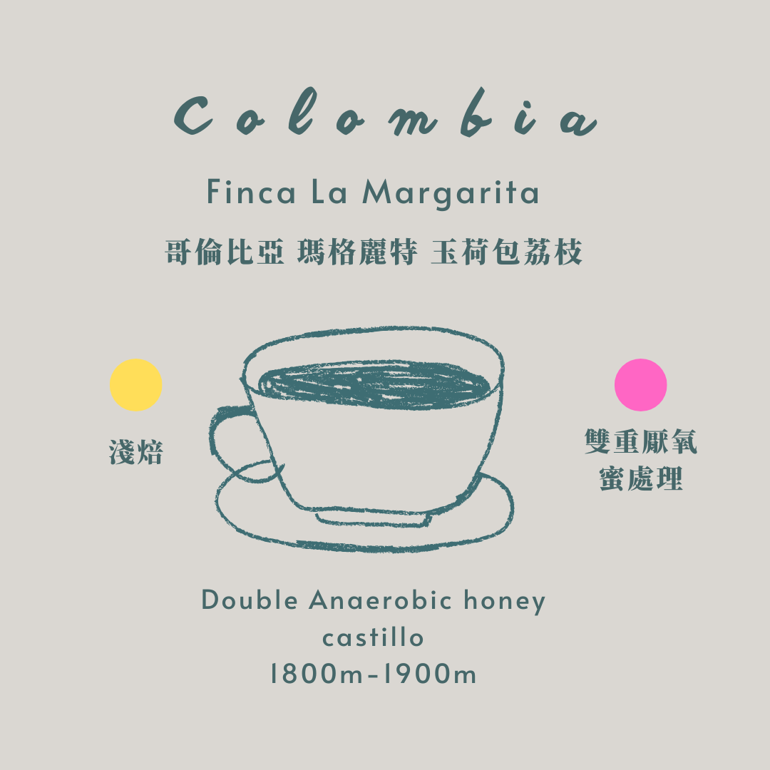 哥倫比亞-玉荷包荔枝 [淺焙 厭氧蜜處理］