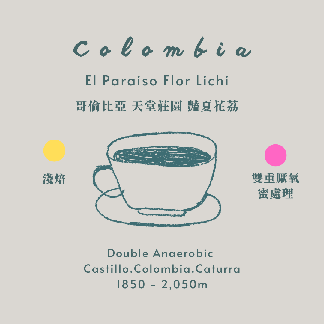 哥倫比亞-豔夏花荔[淺焙 雙重厭氧蜜處理］