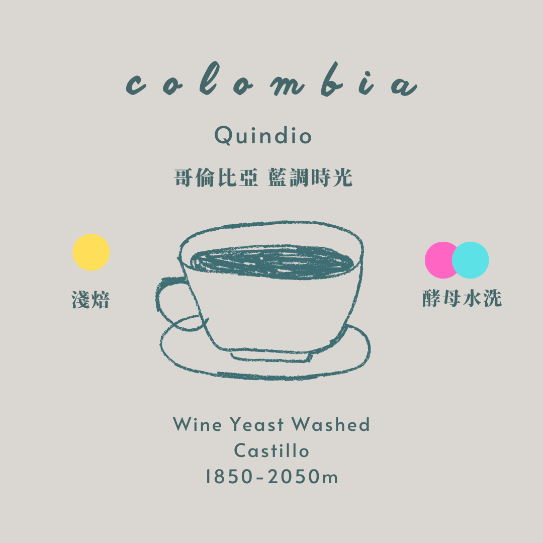 哥倫比亞-藍調時光［酵母水洗］