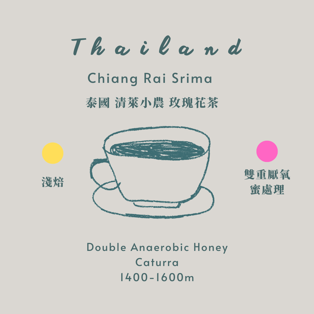 泰國清萊-玫瑰花茶[淺焙 蜜處理］