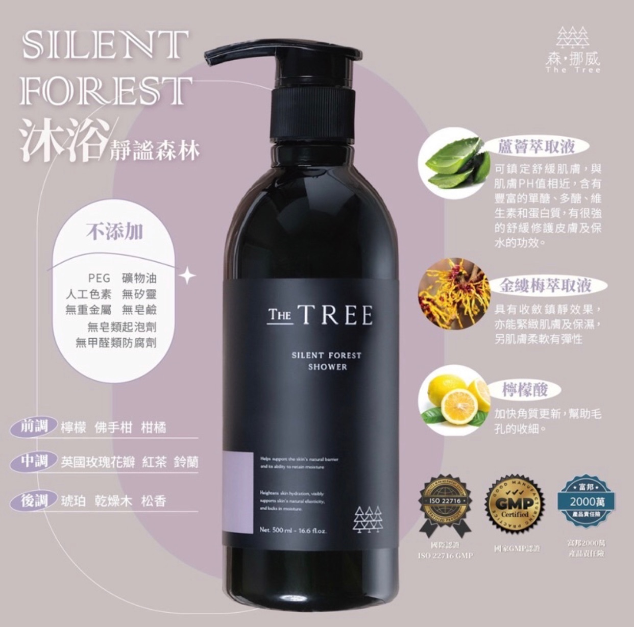 森挪威 靜謐森林