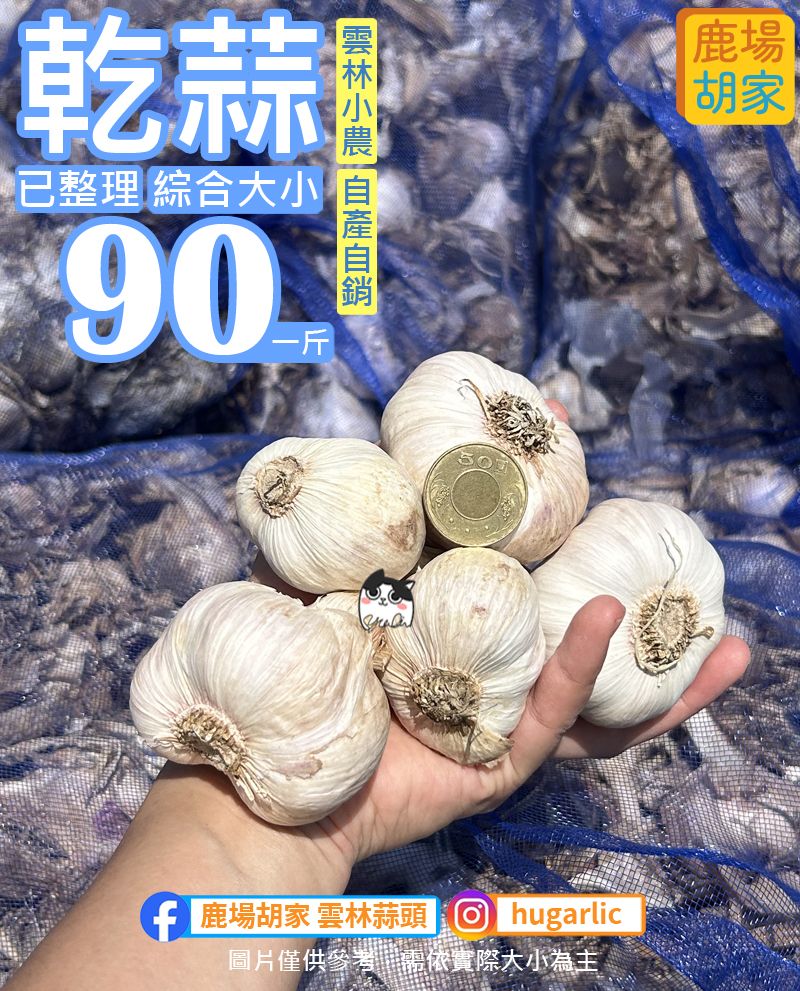 乾蒜球【已整理】綜合大小