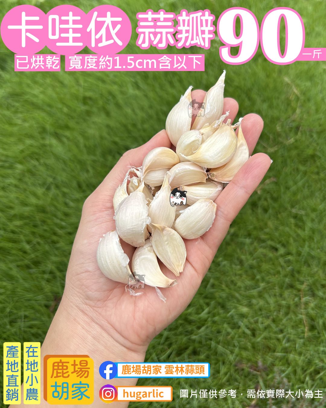 卡哇依蒜瓣【寬1.5cm含以下】