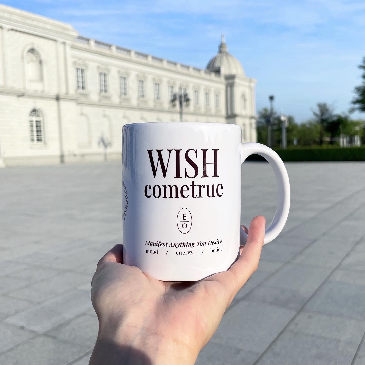 Wish Come True Mug