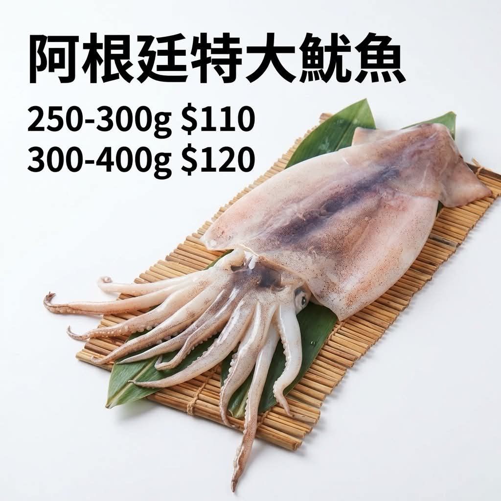 阿根廷特大魷魚