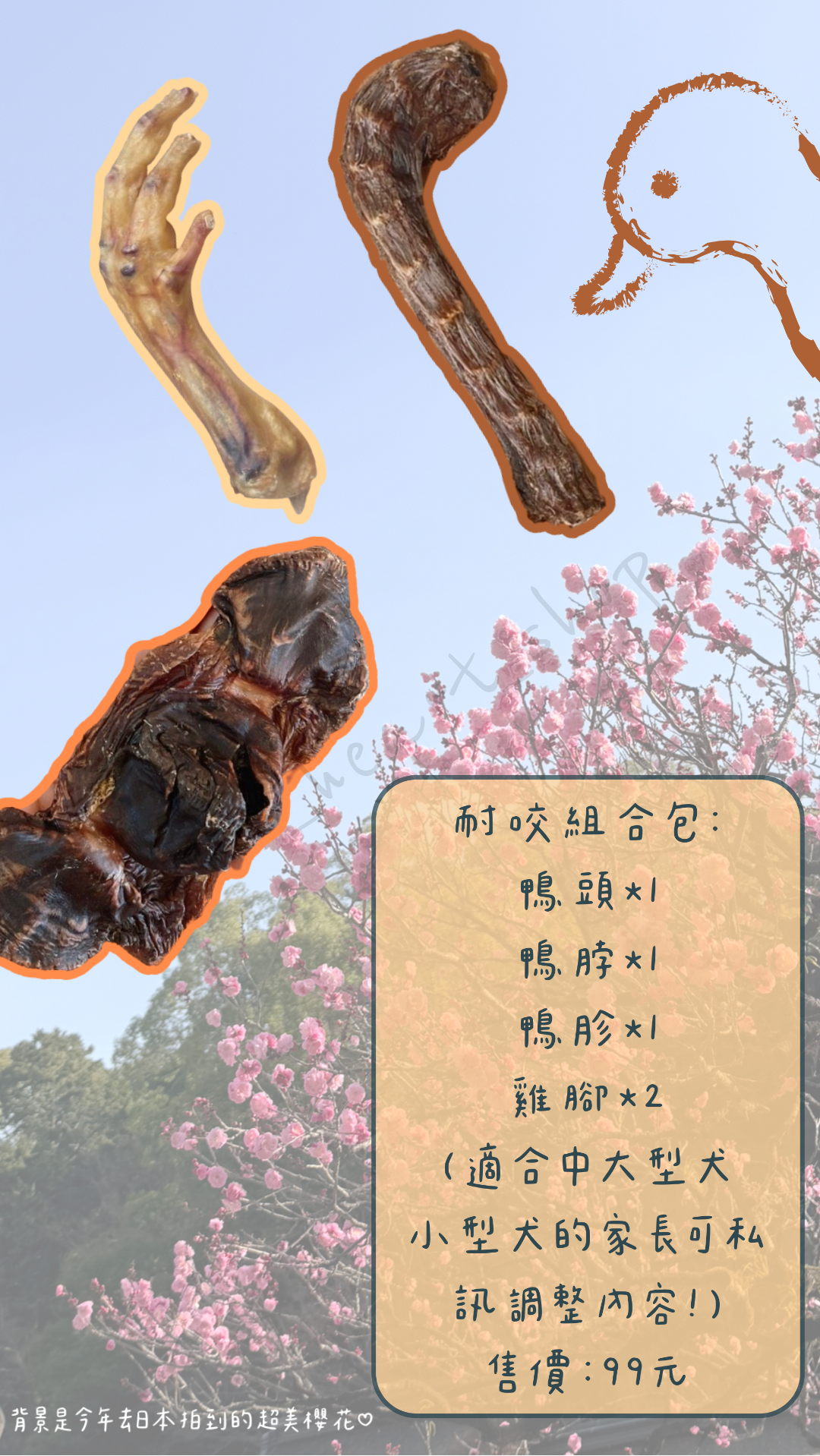 兒童節限定/耐咬零食組合包