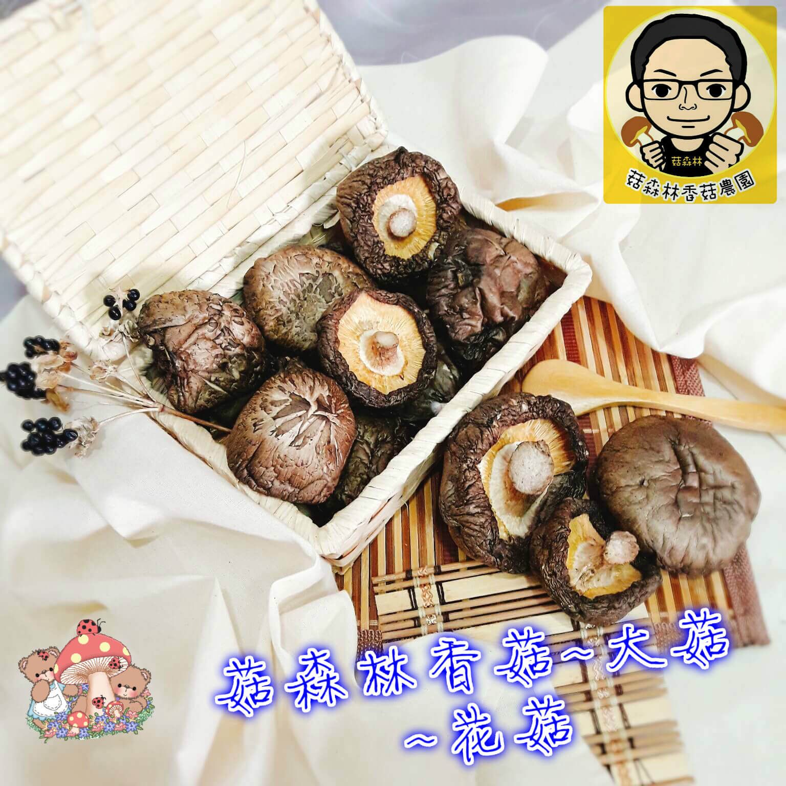 菇森林大菇4公分以上