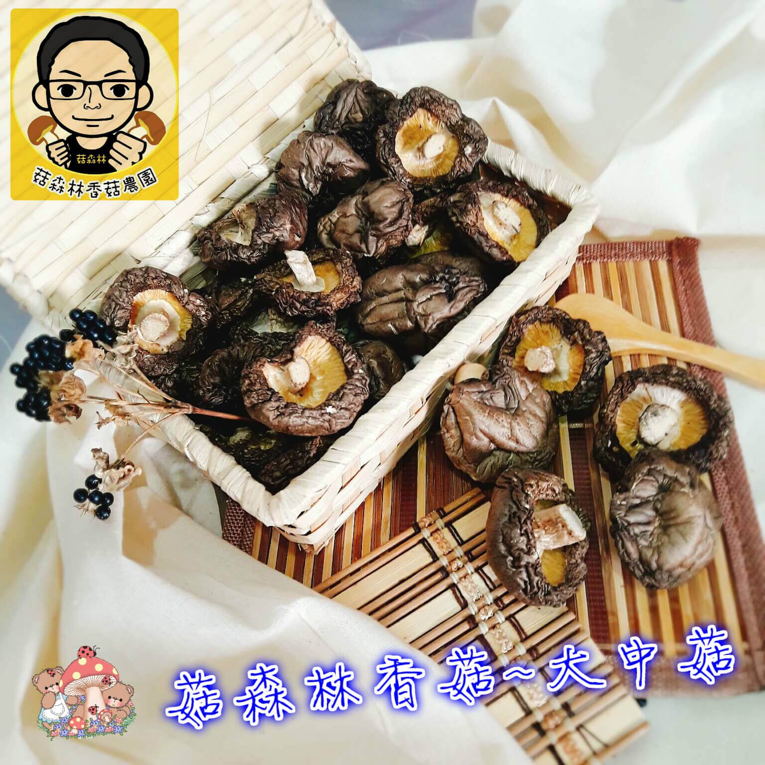 菇森林  大中菇 3-4公分
