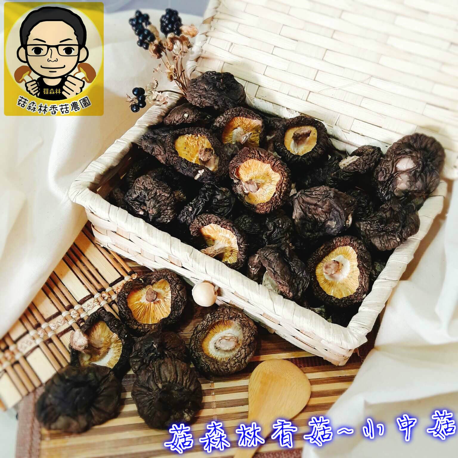菇森林  小中菇 2-3公分