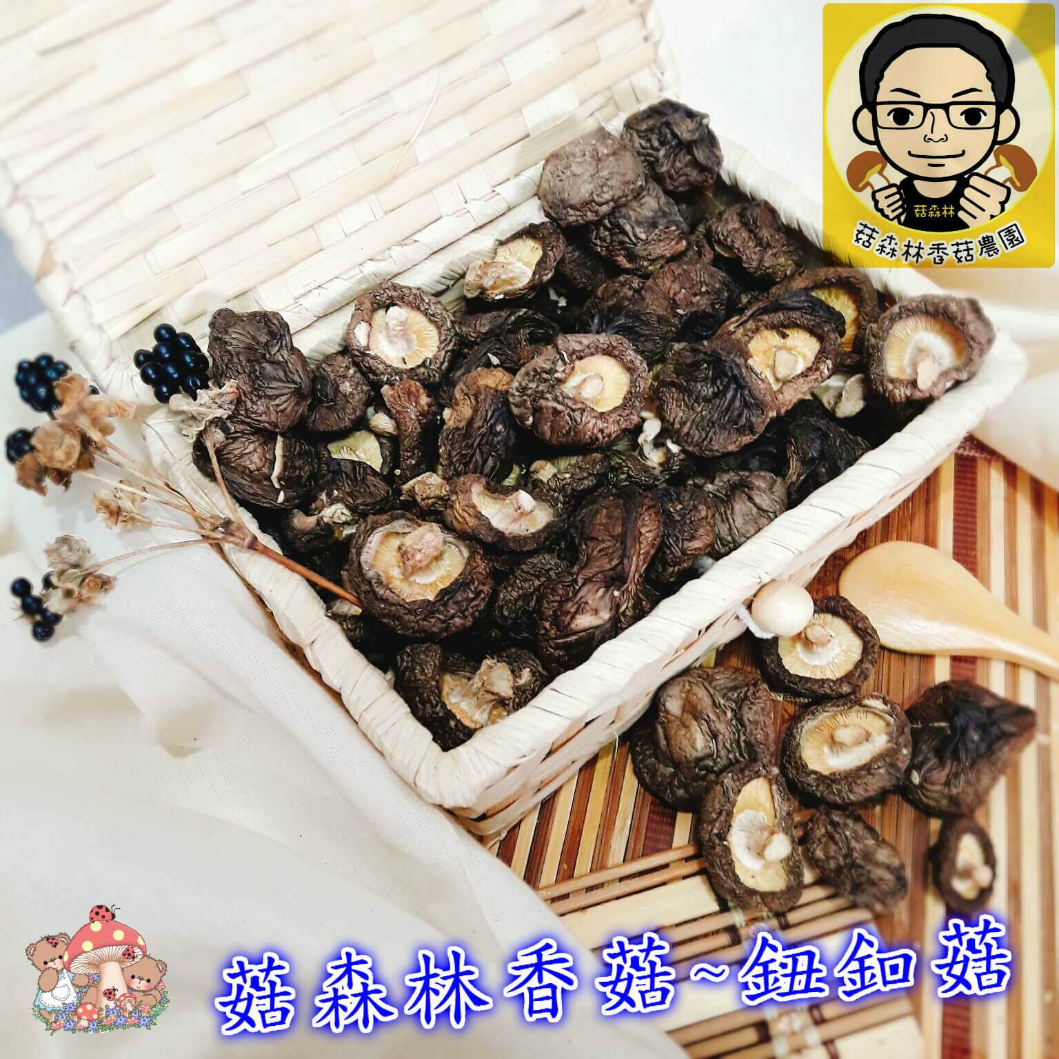 菇森林  鈕釦菇 2公分以下