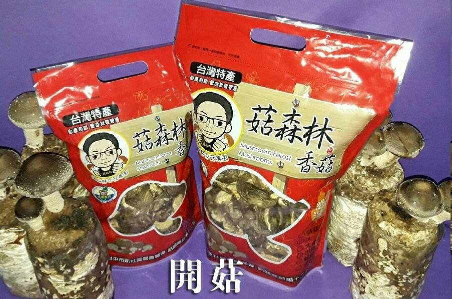 菇森林  開菇/NG菇  破損、菇摺較平、大小不一的香菇