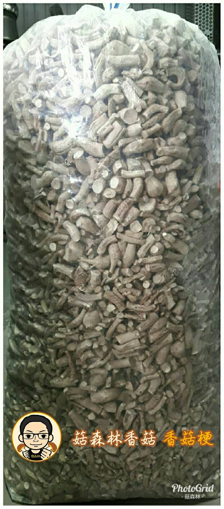 菇森林 香菇梗
