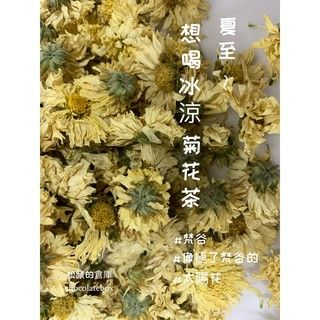 菊花  生機杭白菊 金菊