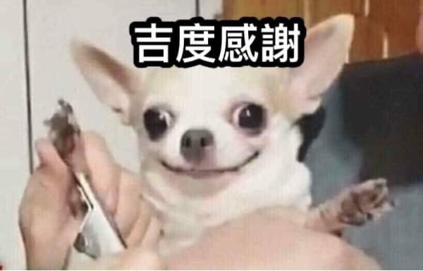 交換/售物用賣場