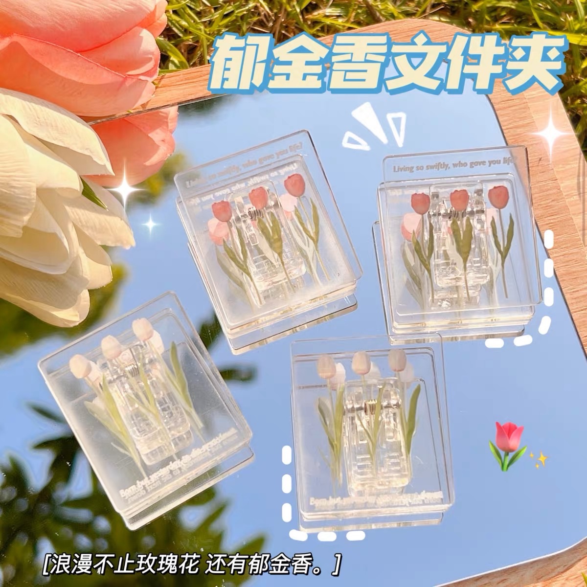 🍒現貨售完不補🍒鬱金香手帳PP夾