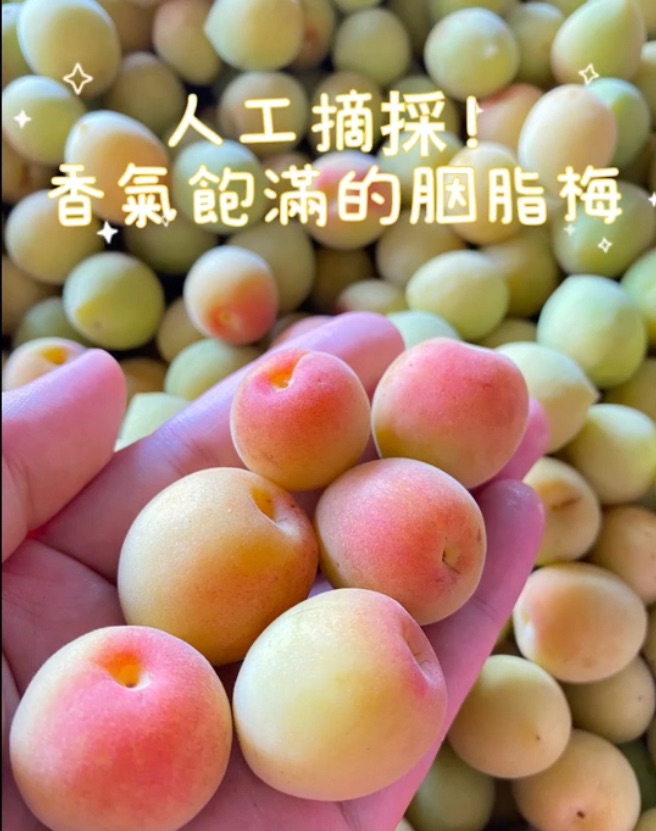 友善梅子果醬