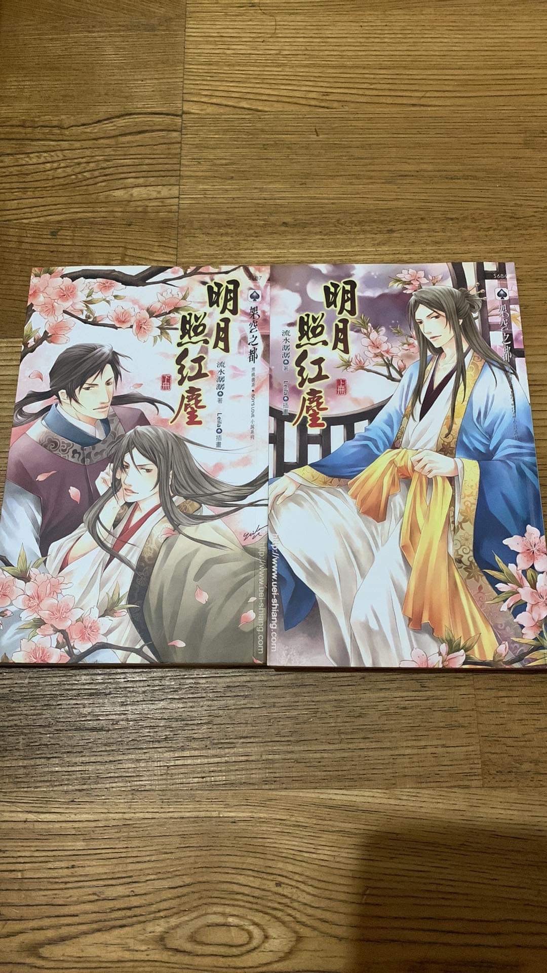 明月照紅塵