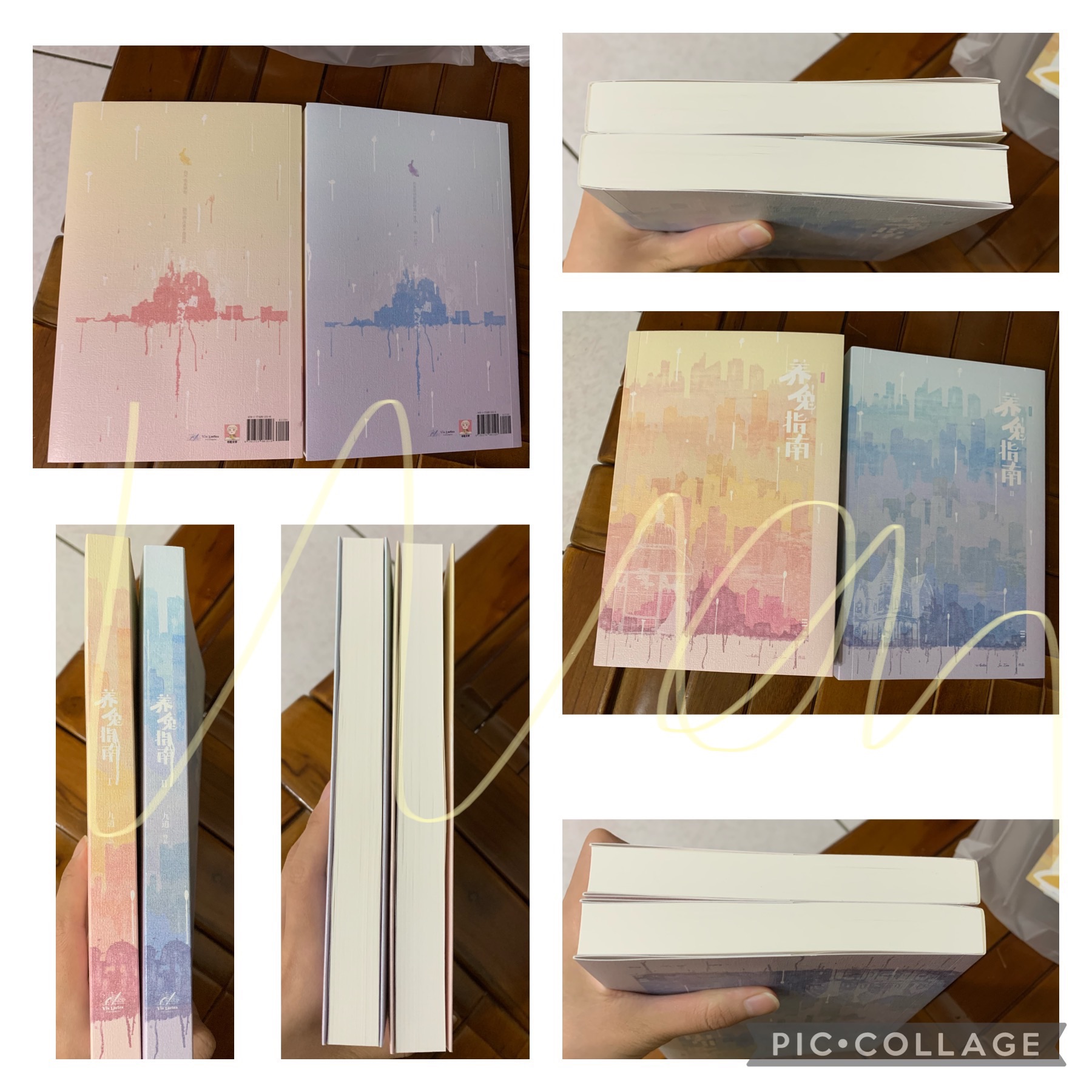 九逍《養“兔”指南》