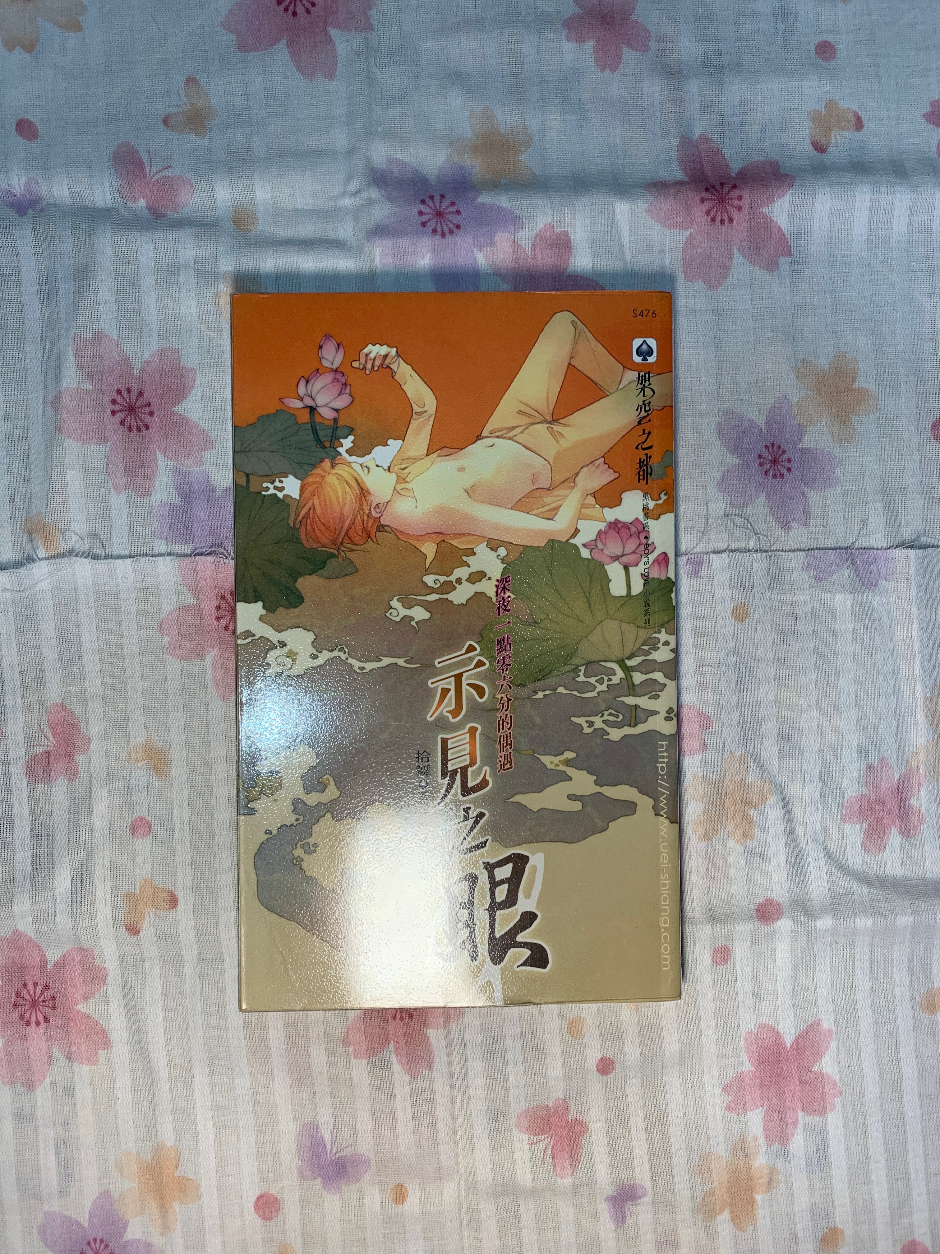 拾舞《示見之眼 一 》威向