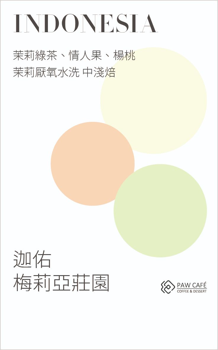 印尼 珈佑 茱莉亞莊園｜茉莉厭氧水洗｜中淺焙