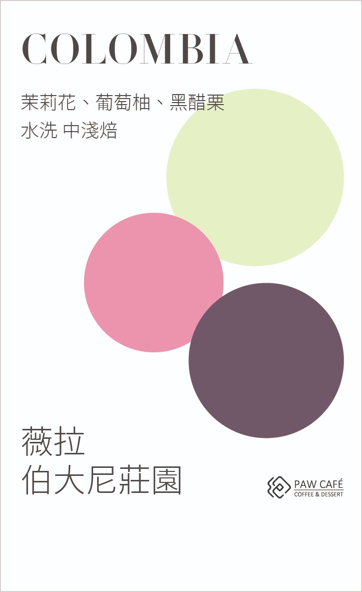哥倫比亞 薇拉 奇洛索 伯大尼莊園｜水洗｜中淺焙
