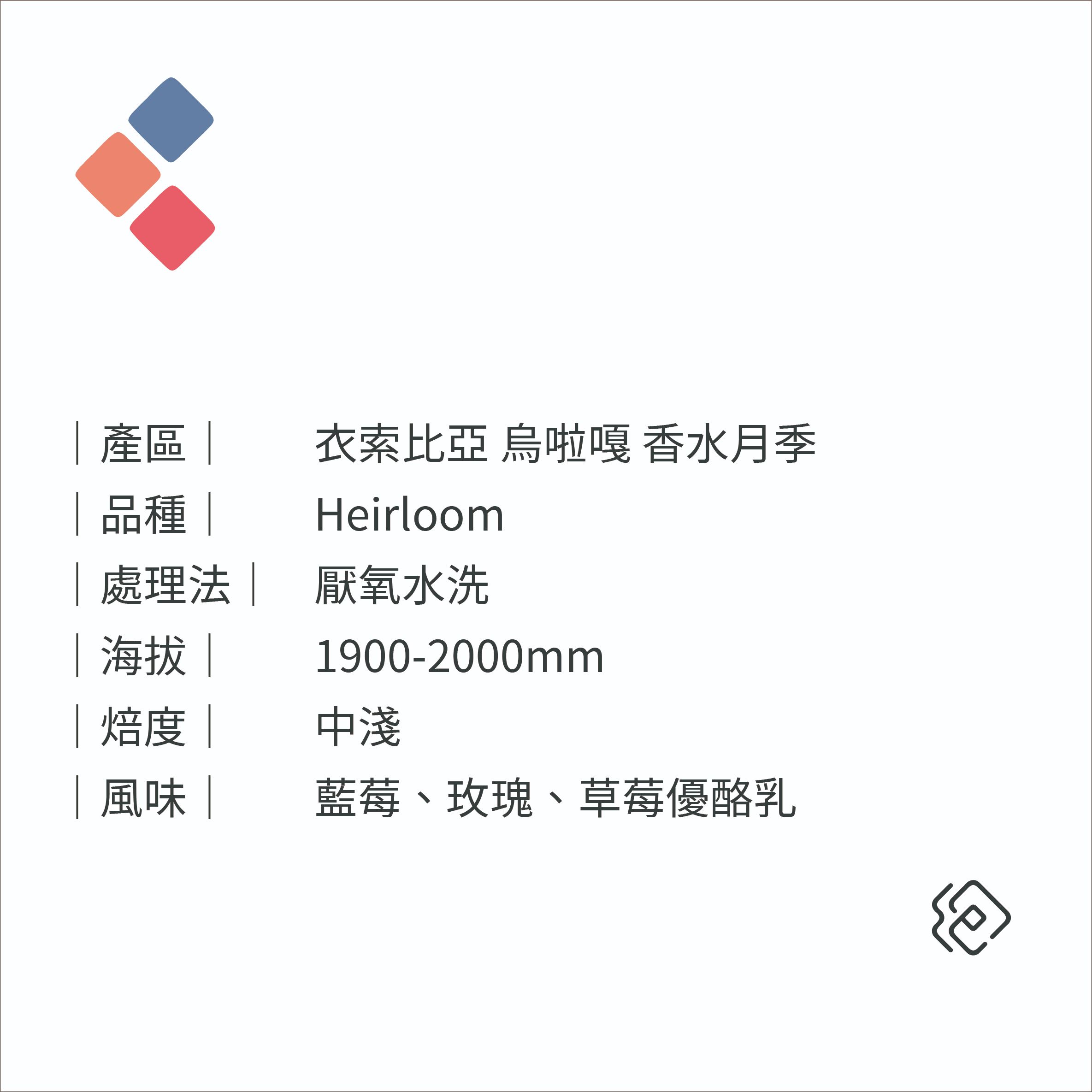 衣索比亞 古吉 香水月季｜厭氧水洗｜中淺焙