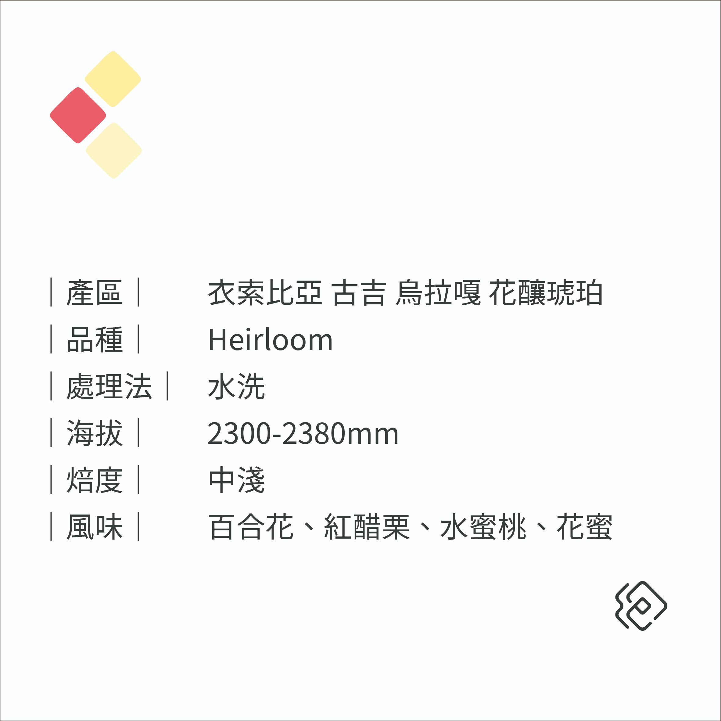 衣索比亞 古吉 烏拉嘎鎮 花釀琥珀｜中淺焙 厭氧水洗