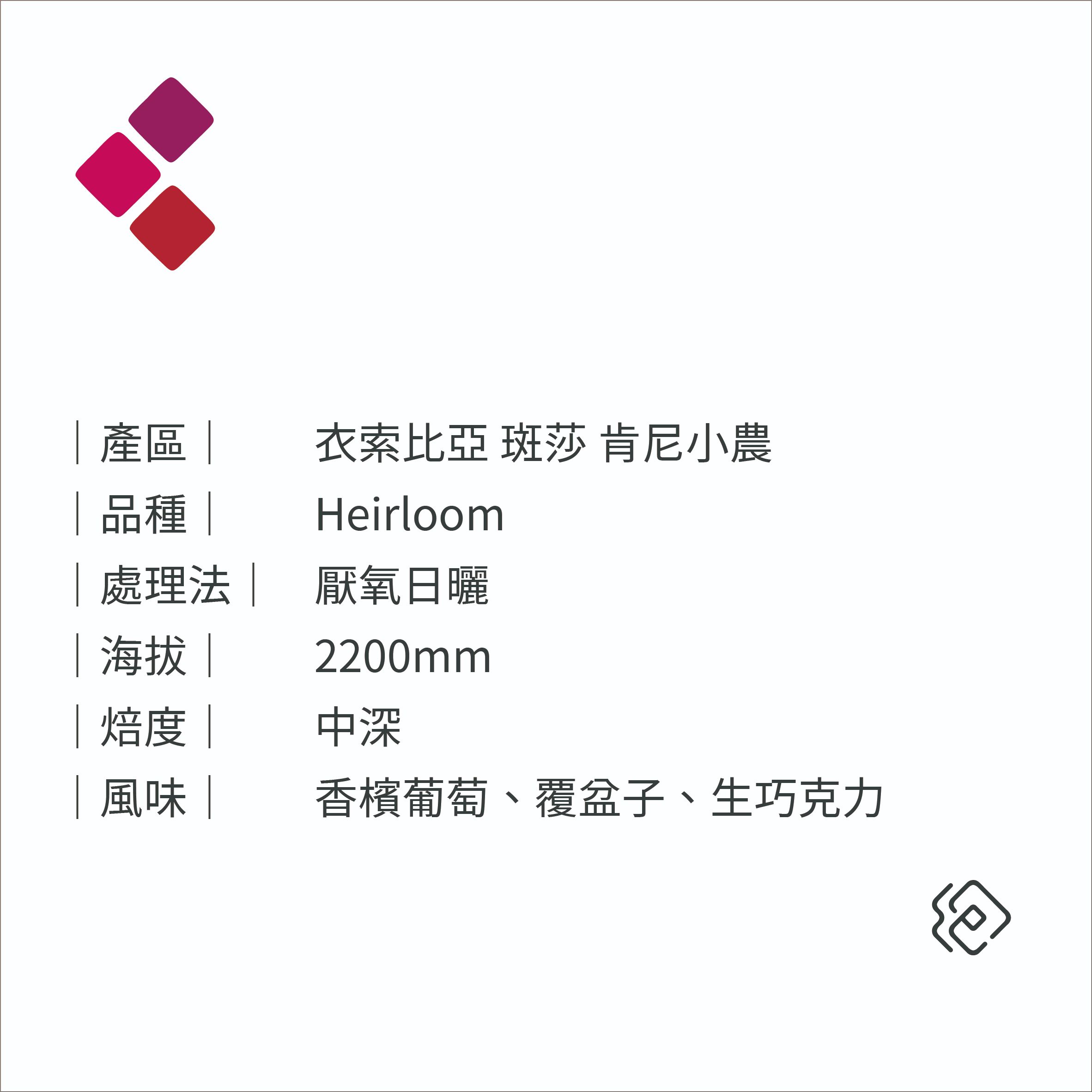 西達馬 斑莎 聖塔維尼村 肯尼小農 酒香推薦｜厭氧日曬｜中深焙