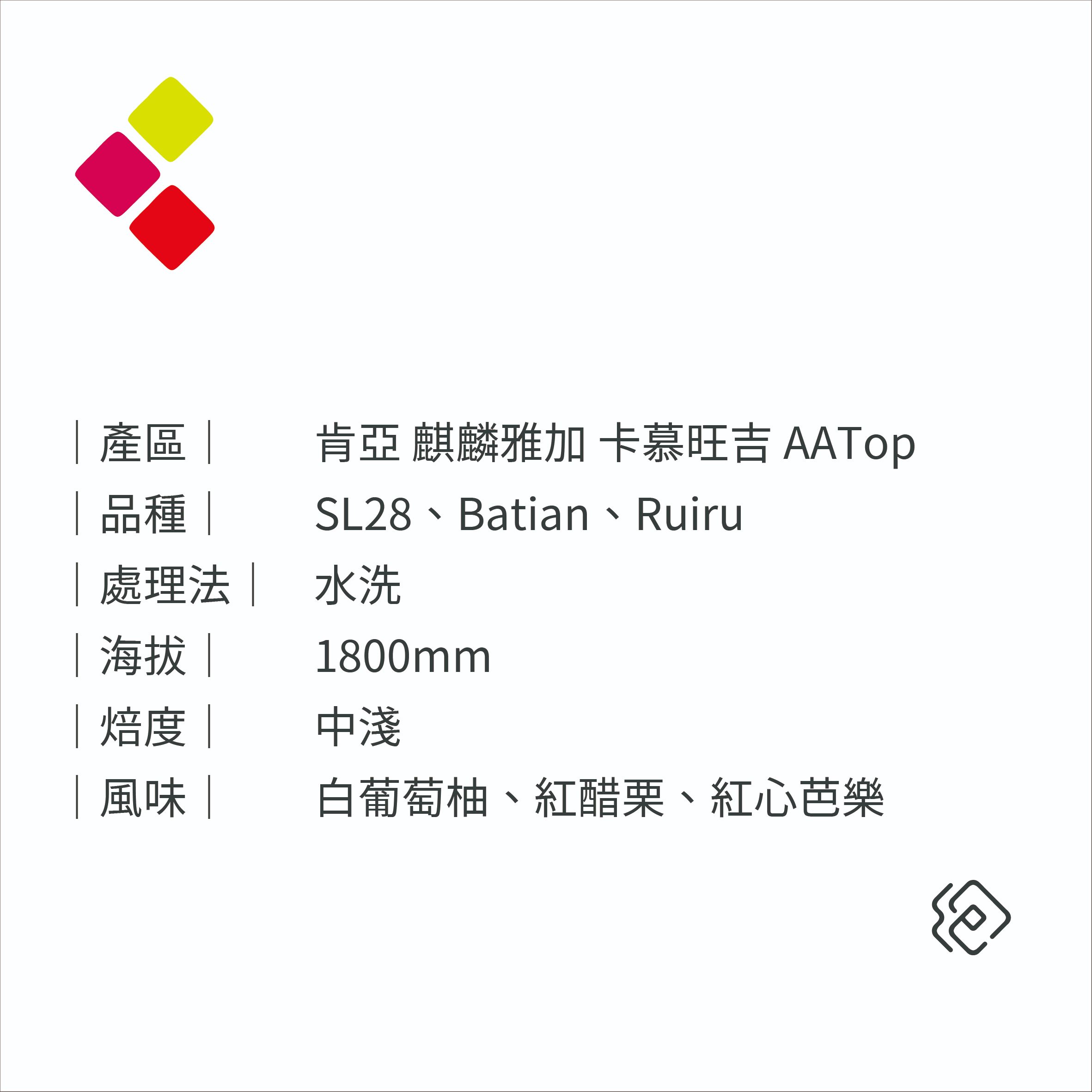 肯亞AATop 麒麟雅加 卡穆旺吉｜水洗｜中淺焙