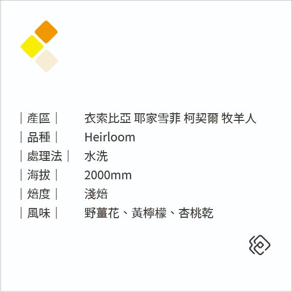 衣索比亞 耶家雪菲 柯契爾 牧羊人 水洗｜淺焙