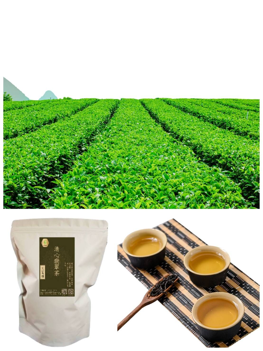好蒔光 - 清心翡翠茶（台灣文山包種）