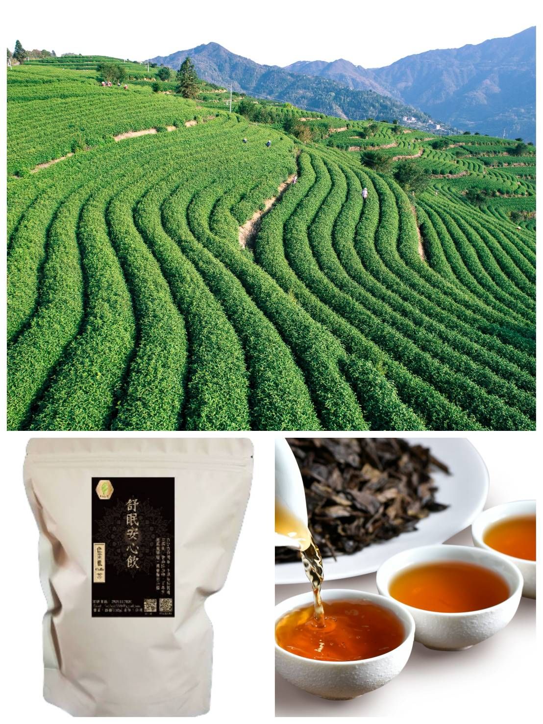 好蒔光 - 舒眠安心飲（台灣佳葉龍GaBa茶）