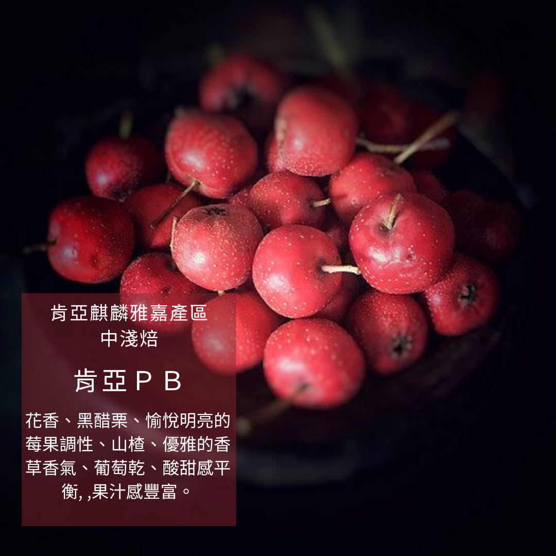 中淺焙 -  肯亞PB /  肯亞水洗